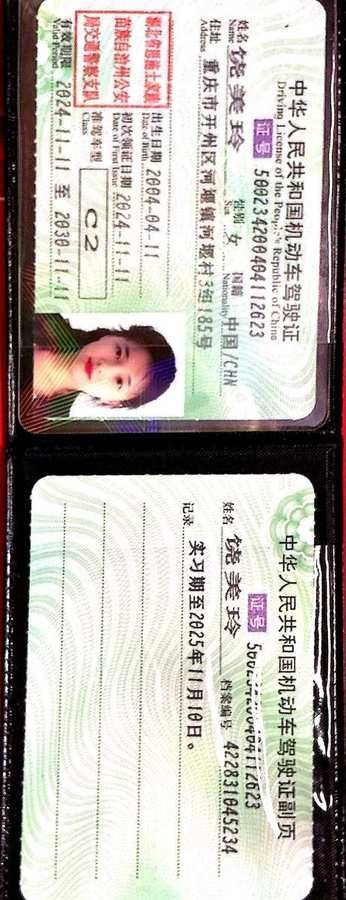 C2 驾驶证